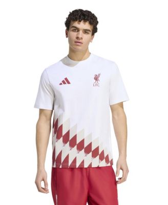 adidas Men's Liverpool FC Stadium Graphic T-Shirt