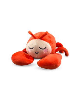 Clawdia the lobster