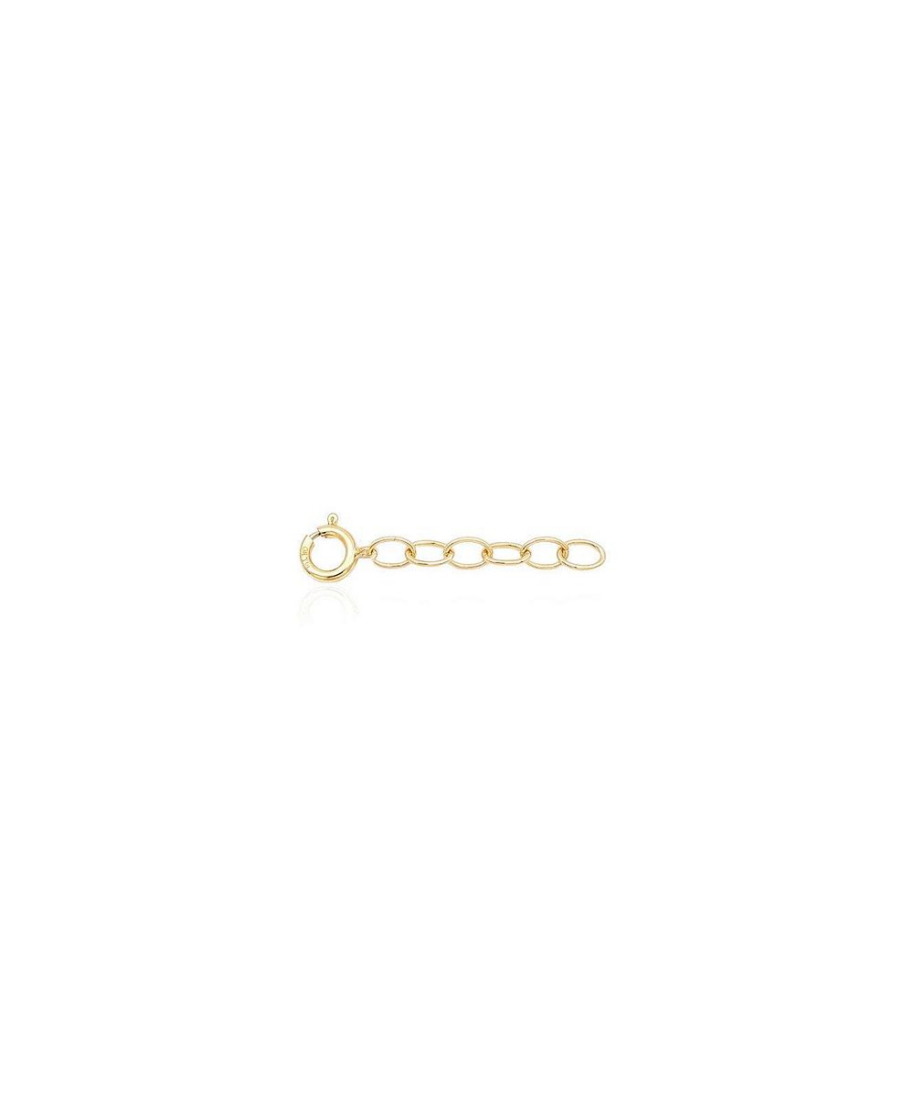 The Lovery 1 inch Classic Extender Chain 14K Gold Filled Over Brass