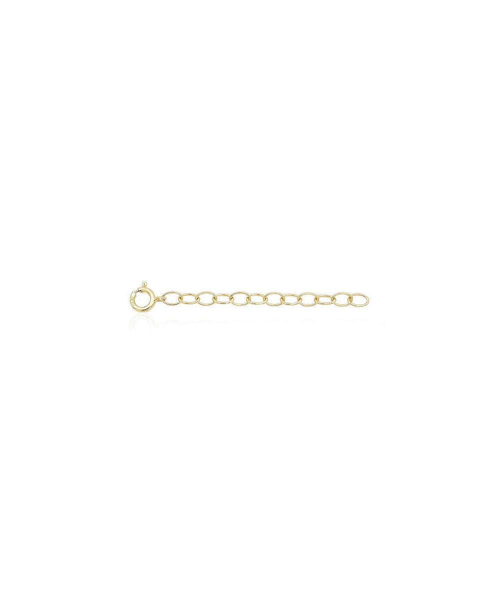 The Lovery 2 inch Classic Extender Chain 14K Gold Filled Over Brass