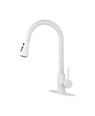 BUSDAYS Kitchen Faucet with Pull Out Sprayer Single Handle Stainless Steel