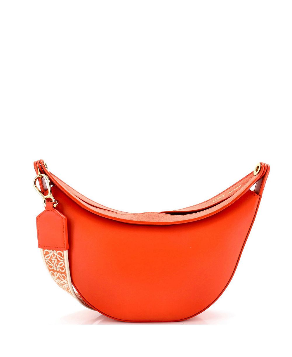 Pre-Owned Loewe кожаная сумка Luna Hobo