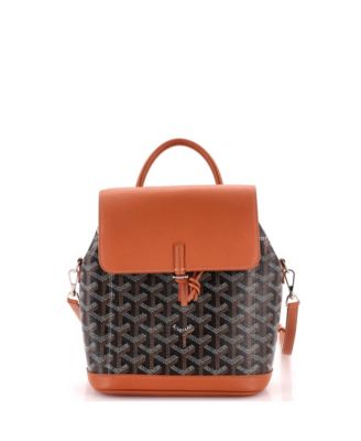 Б/у мини-рюкзак Goyard Alpin из лакированной ткани