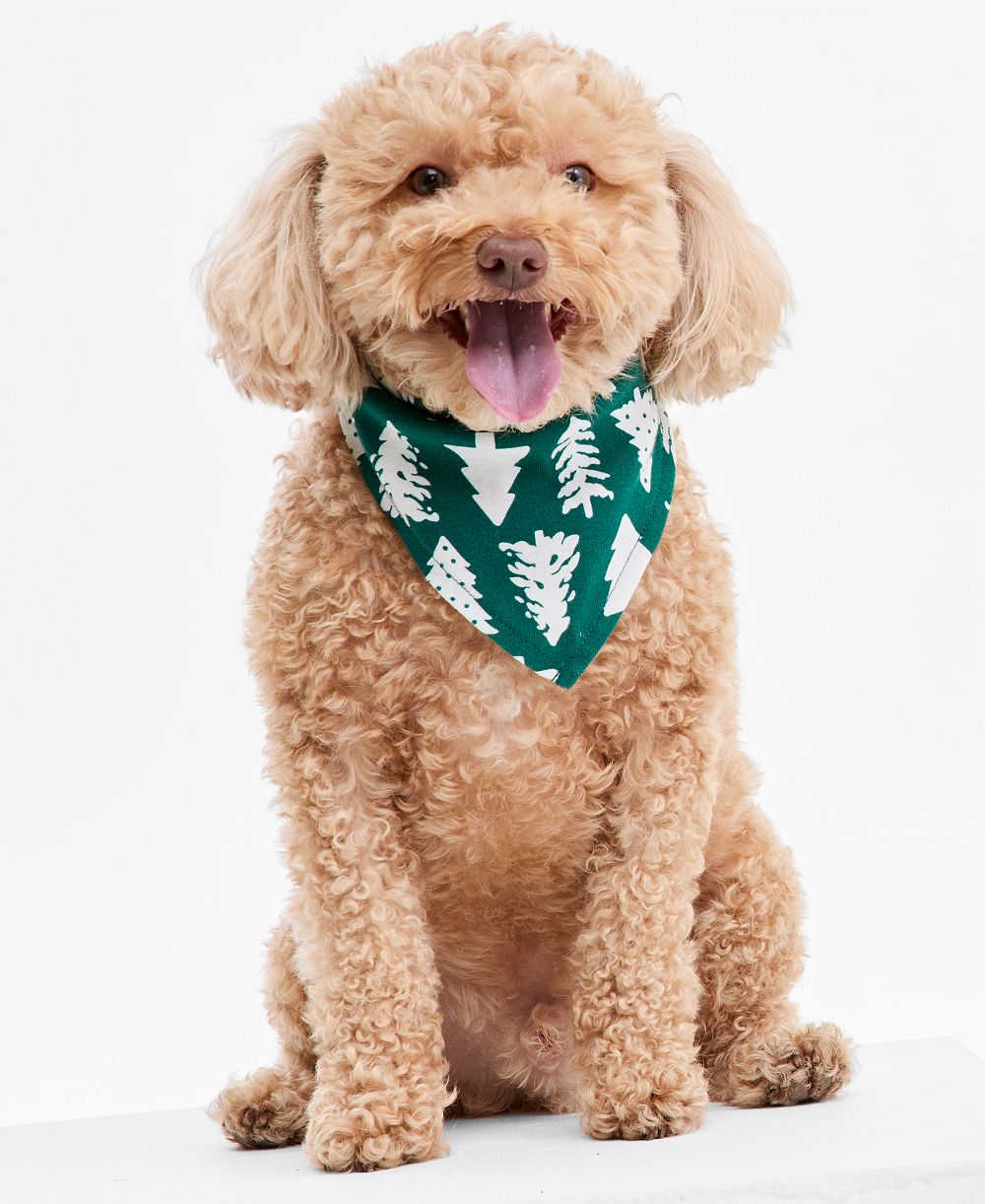 Поводок для питомца Holiday Lane Pet Tree Geo Bandana