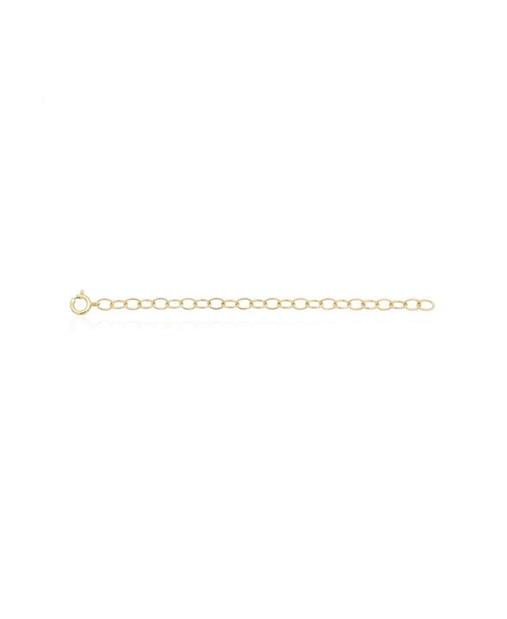 The Lovery 4 inch Classic Extender Chain 14K Gold Filled Over Brass