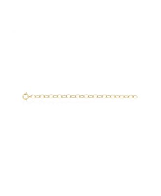 The Lovery 4 inch Classic Extender Chain 14K Gold Filled Over Brass