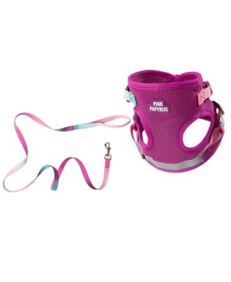 Pink Papyrus Joey Cat Harness and Leash Set