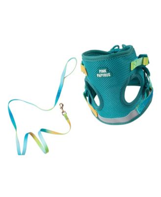 Pink Papyrus Stasia Cat Harness and Leash Set