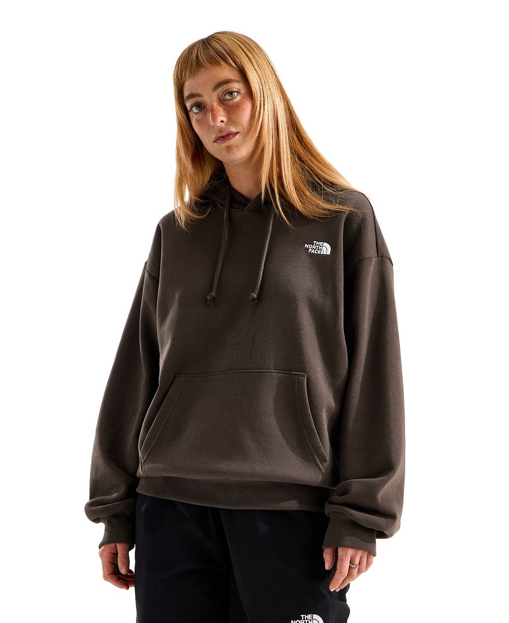 The North Face Women's Evolution Oversized Hoodie Sweatshirt