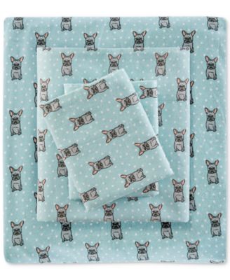 Aqua French Bulldog