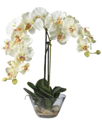 Цветочная композиция Nearly Natural Phalaenopsis в стеклянной вазе