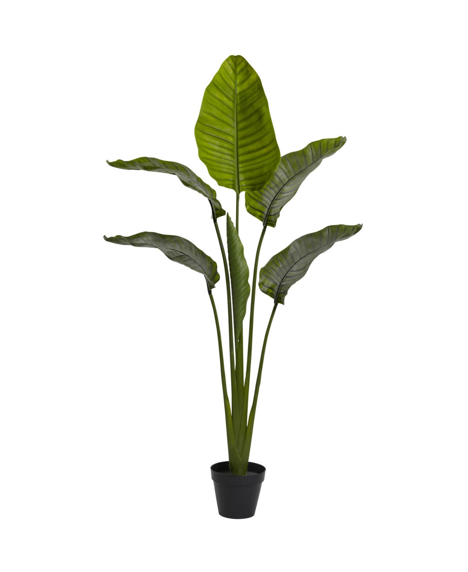 Nearly Natural 63" Travellers Palm UV-Resistant Indoor/Outdoor Tree