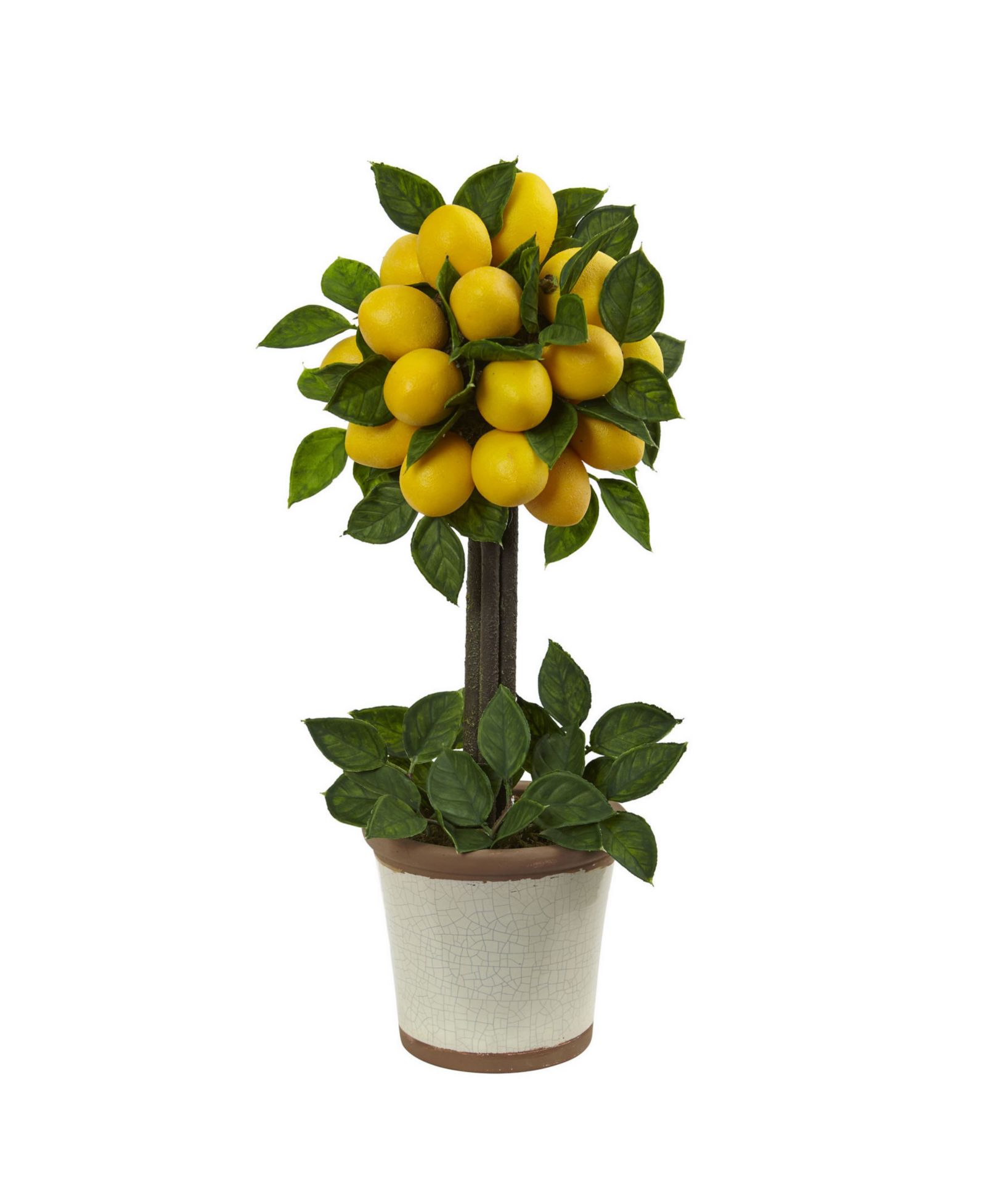 Искусственное декоративное растение Nearly Natural Lemon Ball