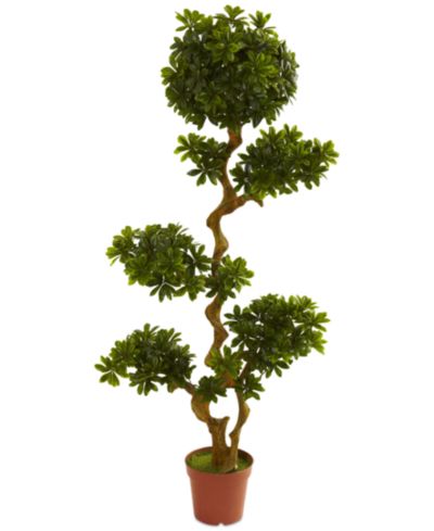 Nearly Natural Искусственное дерево Pittosporum, UV-устойчивое, для дома и улицы, 5'