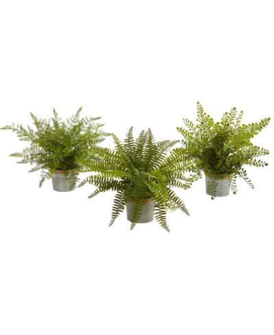 Искусственные растения Nearly Natural 14'' Assorted Ferns с кашпо, набор из 3 шт.