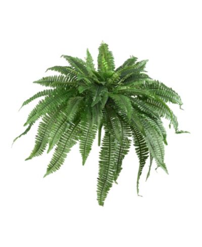 Набор искусственных растений Nearly Natural Boston Fern, 2 шт.