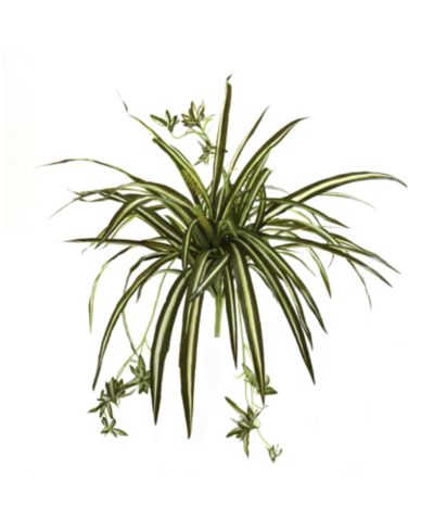 Набор искусственных кустов Nearly Natural Spider Plant, 4 шт., 23"