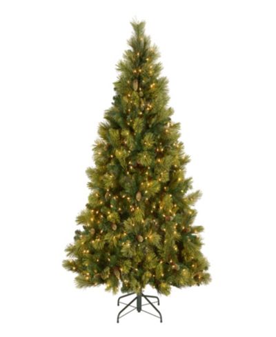 National Tree ель Carolina Pine 6.5' с 650 чистыми светодиодами