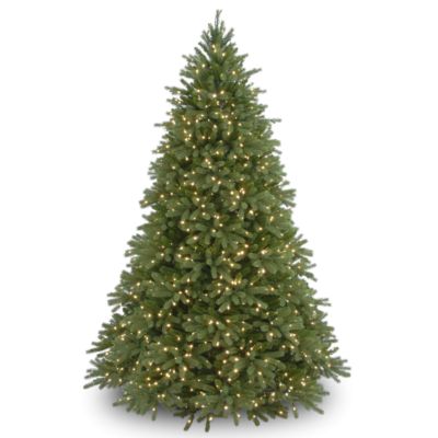 National Tree Company Ель Fraser Fir