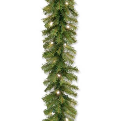 Гирлянда National Tree 9' x 10" Norwood Fir с 50 LED