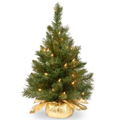 Ель National Tree Company 24" Majestic Fir в золотом тканевом мешке с 35 светодиодными лампами