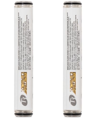 T3 Source Shower Filter Replacement for Hand-Held Unit