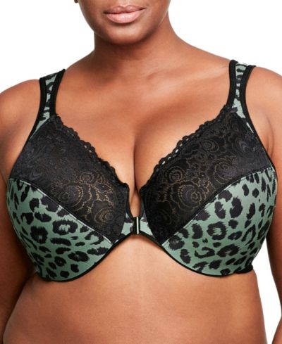 Centennial Leopard