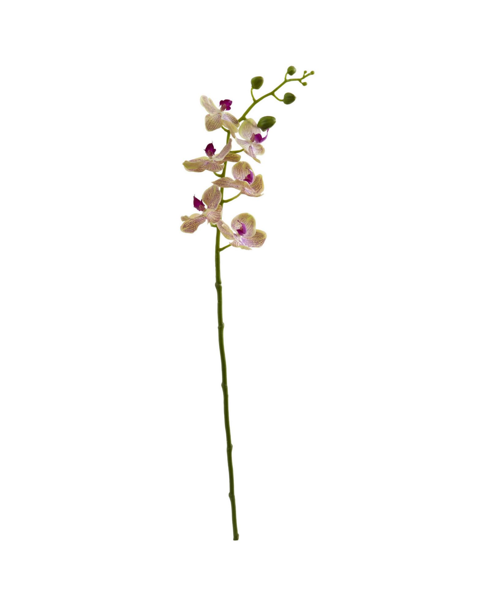 Nearly Natural искусственные цветы орхидея Phalaenopsis 29 дюймов, набор из 4 шт