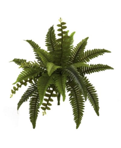 Искусственное растение Nearly Natural 14" Boston Fern, комплект из 6 шт.