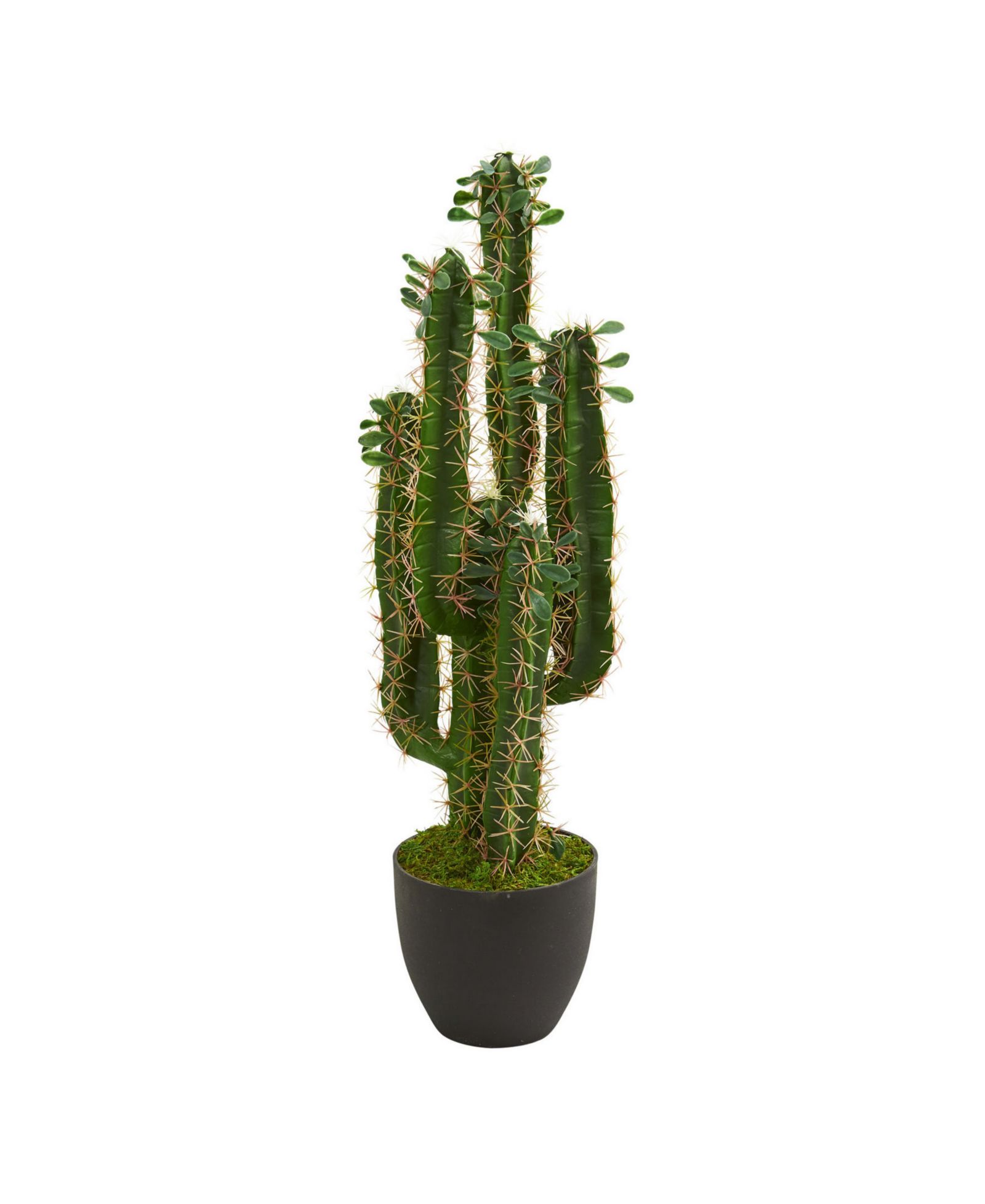 Искусственное растение Nearly Natural 2.5' Cactus