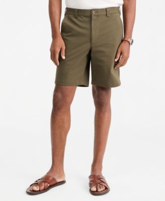 Olive Tint