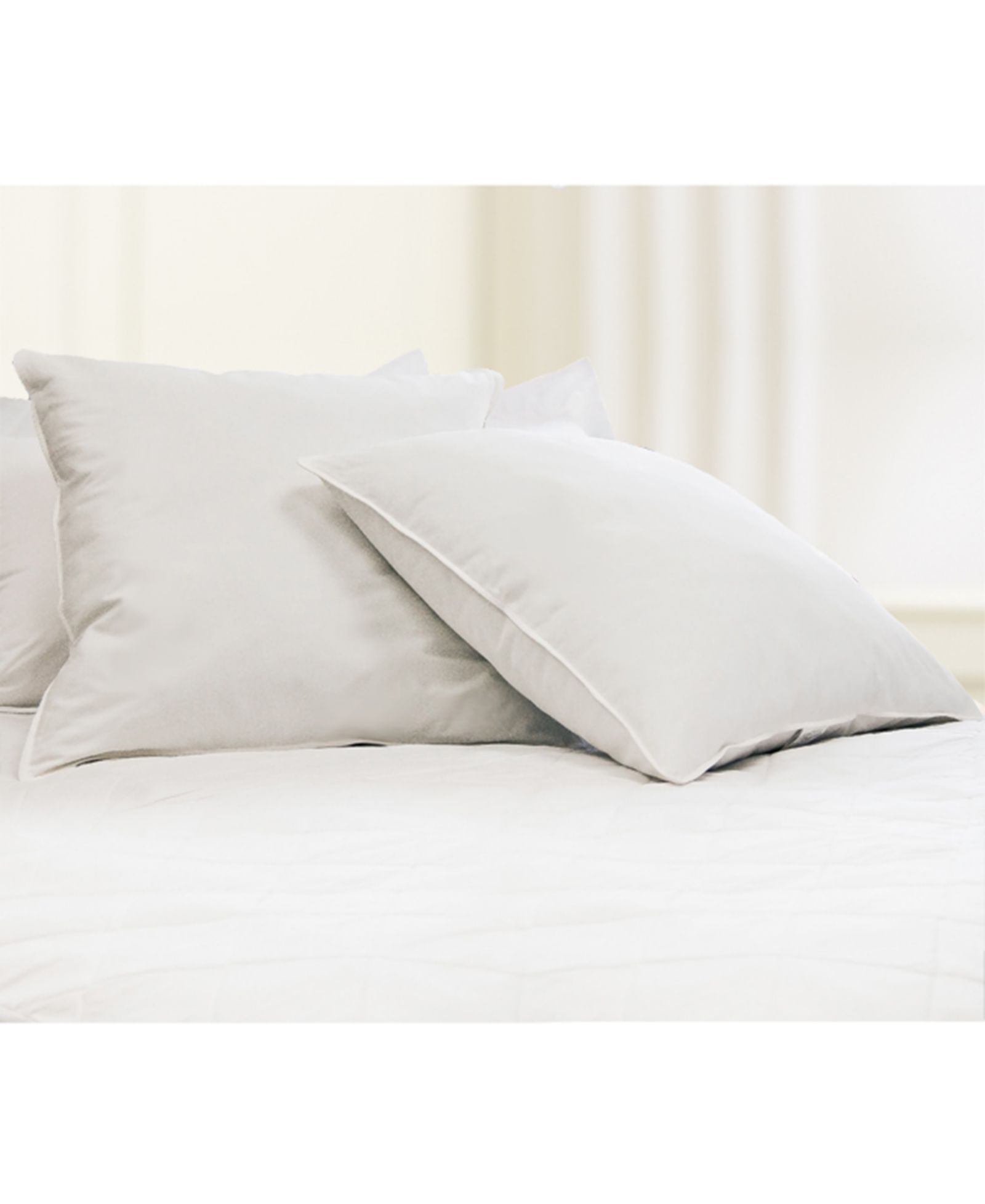 Blue Ridge Feather 230 Thread Count 100% Cotton 2-Pack Pillow, European