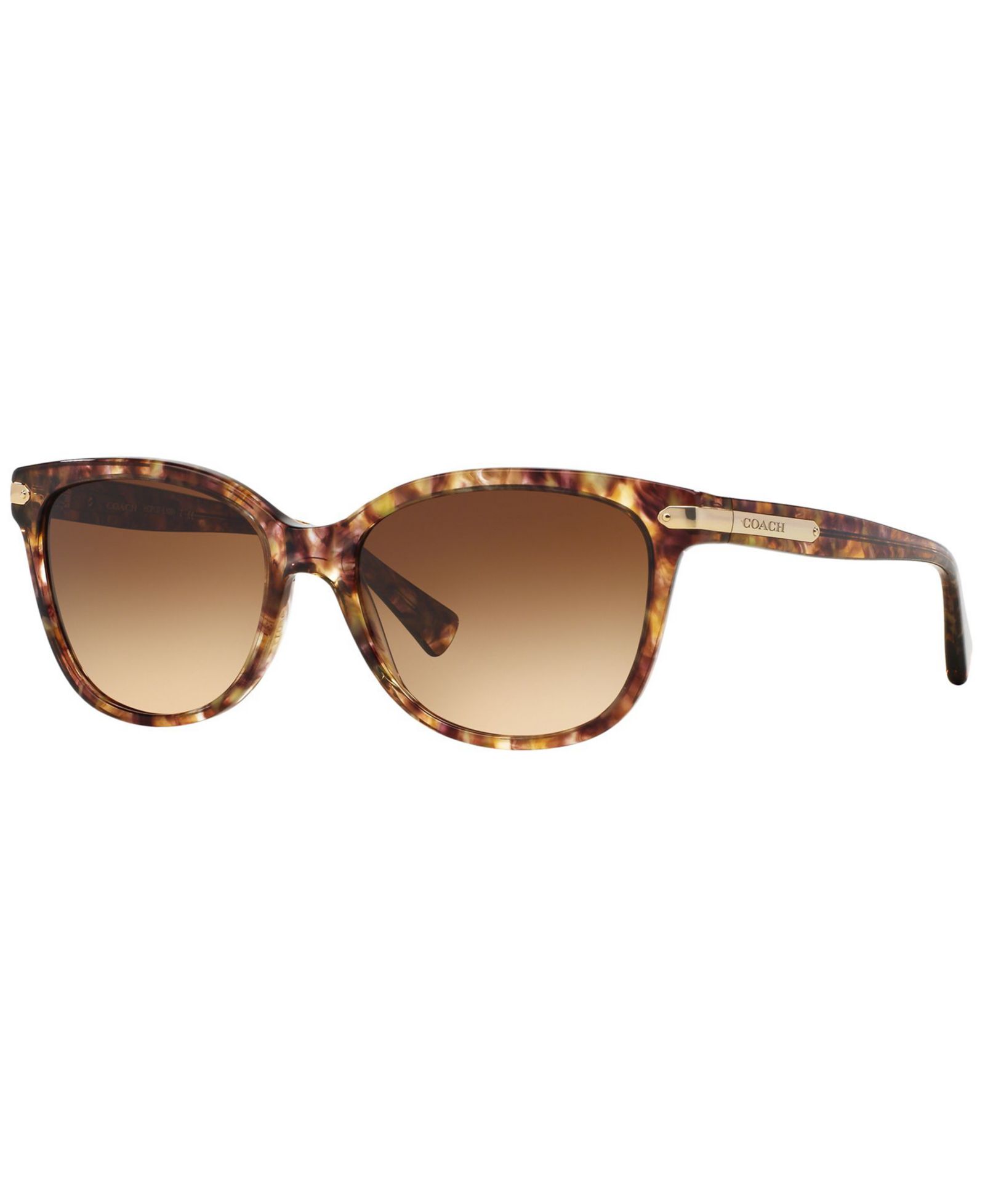 Coach Sunglasses, HC8132