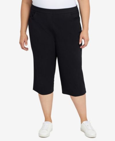 Женские укороченные брюки-капри Alfred Dunner Plus Size Classic Allure Stretch Clamdigger