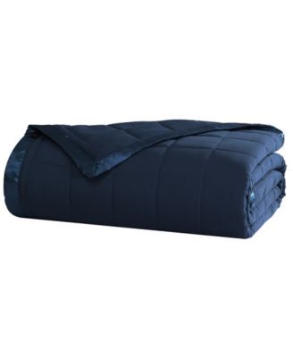 Insignia Blue