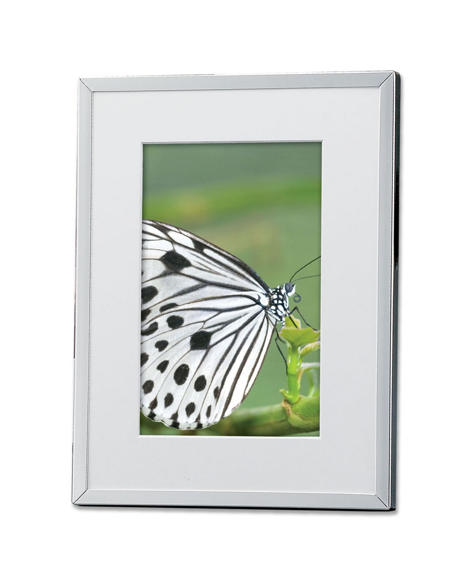 Серебряная рамка для фотографий Lawrence Frames с матовым покрытием - 4" x 6"