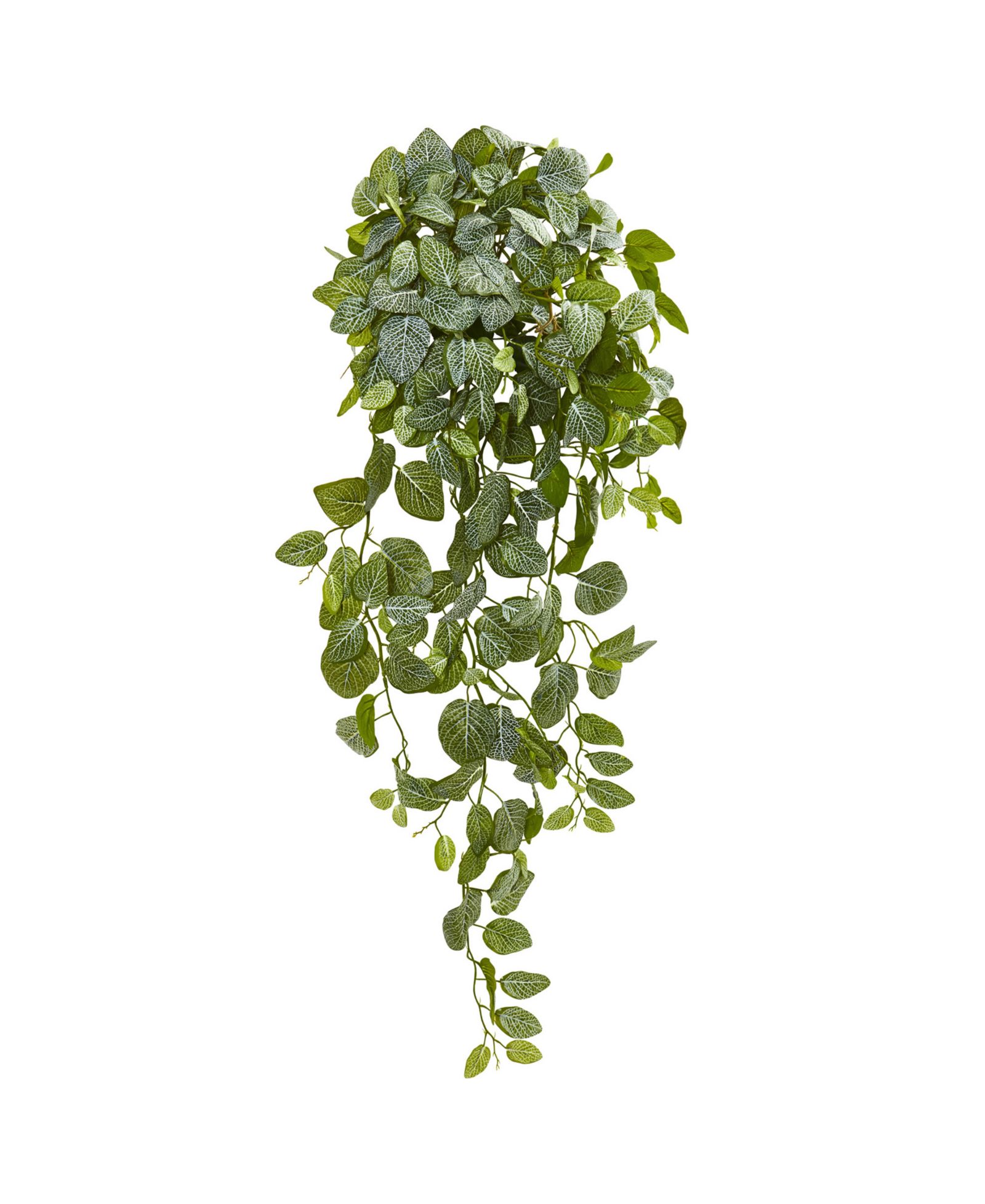 Искусственное растение Nearly Natural 36” Fittonia Hanging Bush (Set of 2)