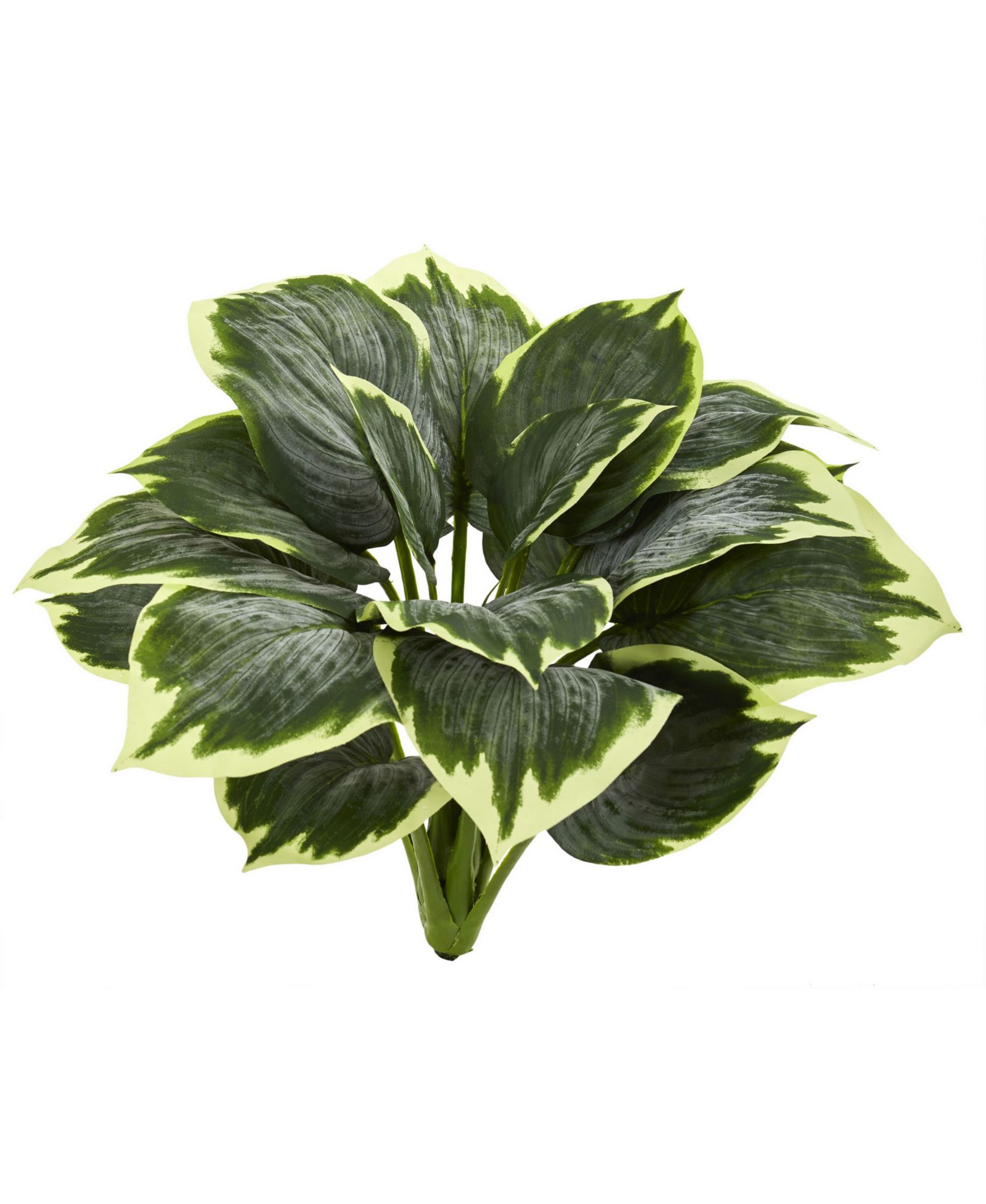 Искусственное растение Nearly Natural Variegated Hosta (набор из 6 шт.)