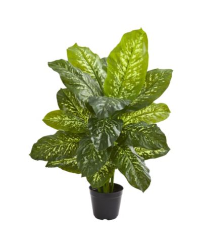 Nearly Natural 34” Dieffenbachia Artificial Plant (Real Touch)