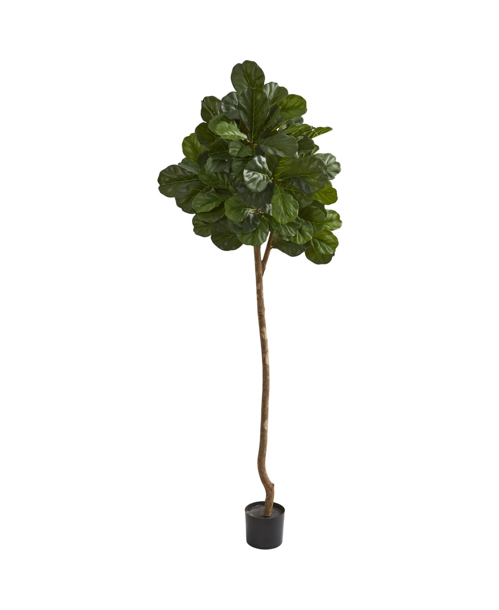 Nearly Natural искусственное дерево Fiddle Leaf Fig 7’
