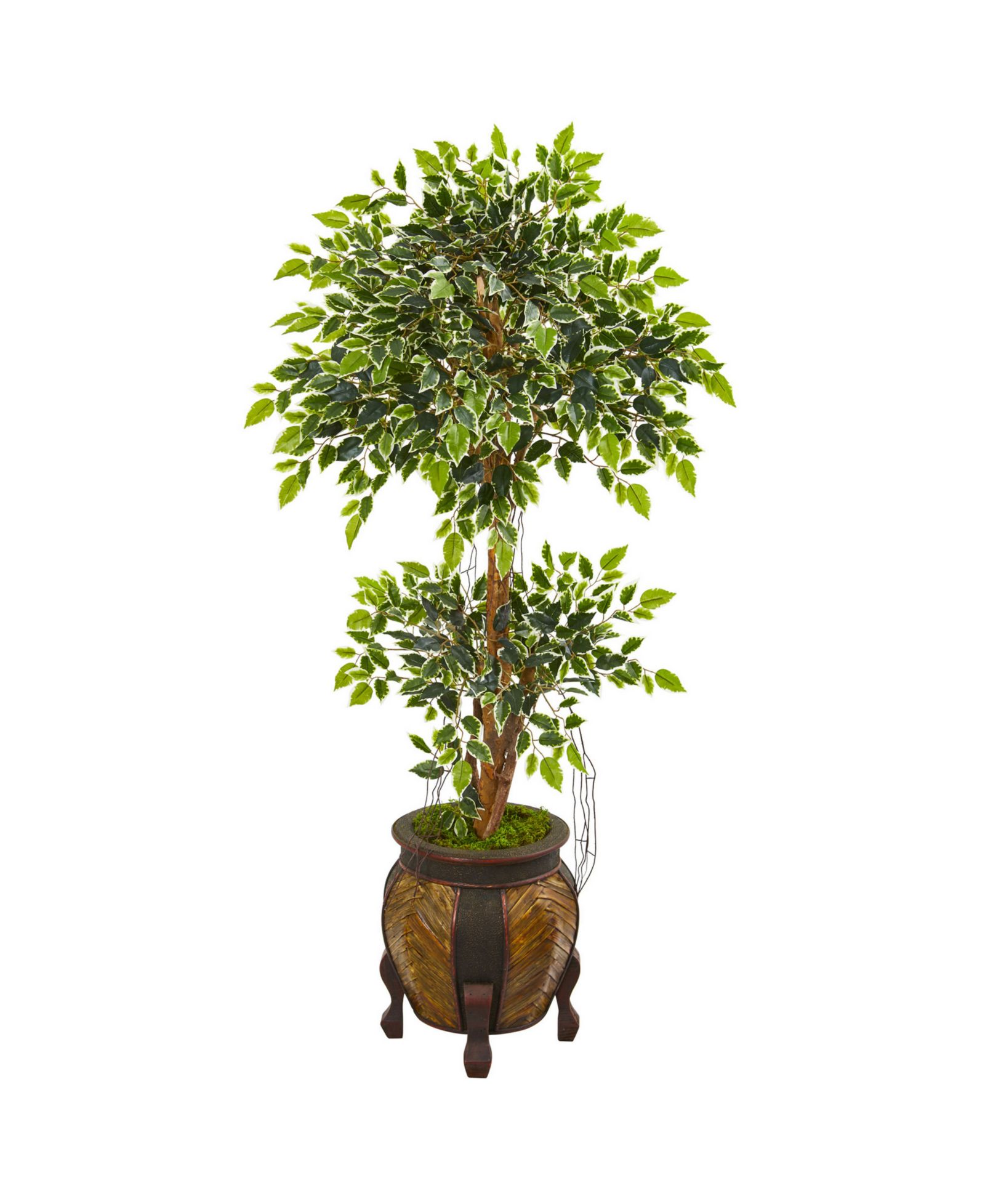Nearly Natural 59” Variegated Ficus Artificial Tree in Decorative Planter