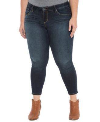 Джинсы Slink Jeans Women's Denim High Rise Ankle Skinny 27" inseam