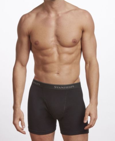 Комплект боксеров-бриф Stanfield's Premium Cotton Men's 2 Pack