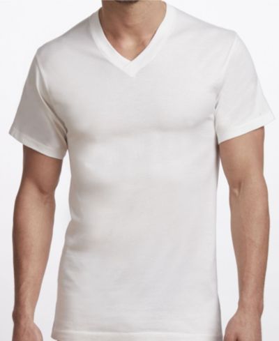 Stanfield's Premium Cotton Мужская футболка с V-образным вырезом, 2 шт