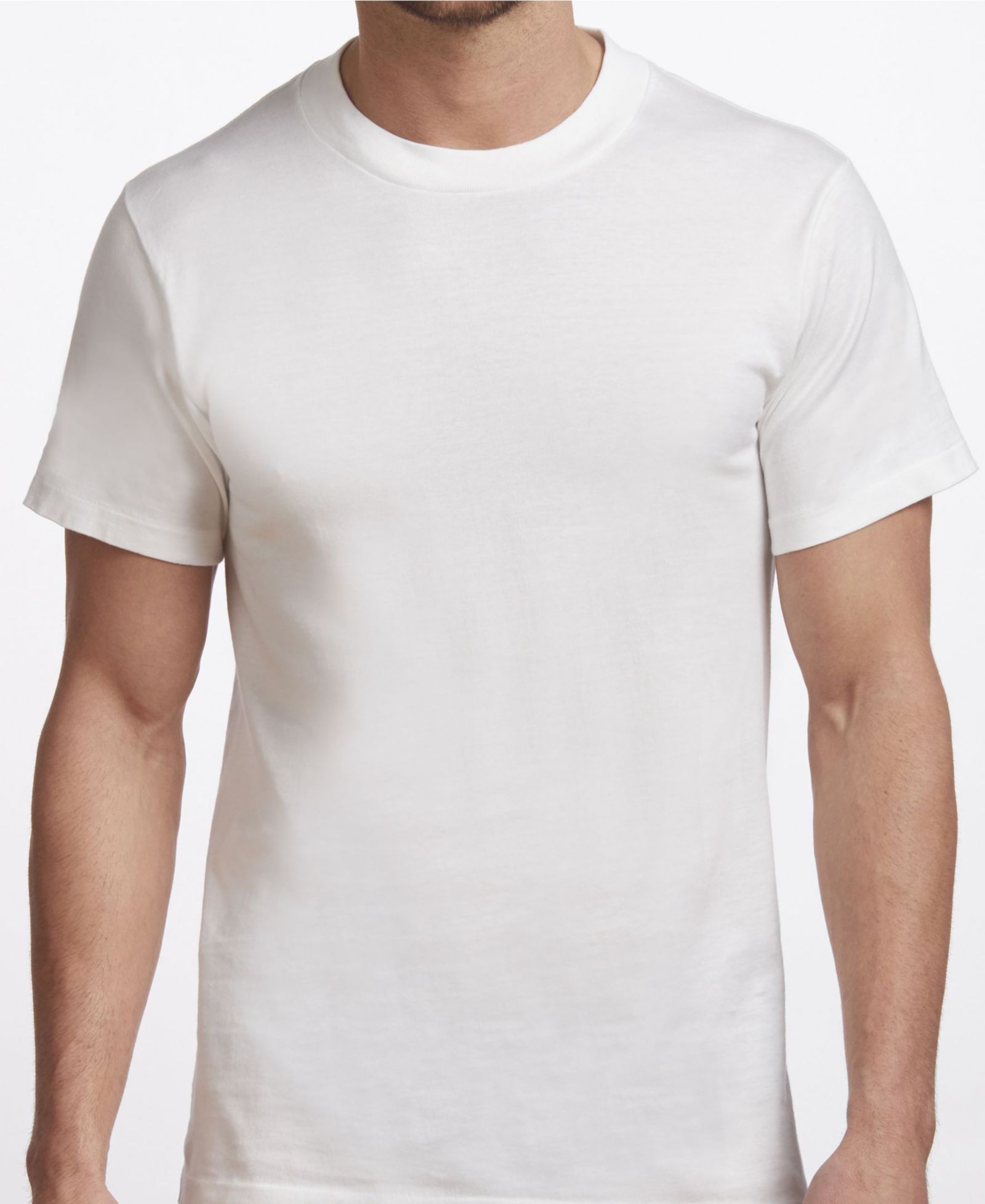 Stanfield's Premium Cotton Men's 2 Pack Crew Neck Undershirt