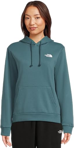 Худи The North Face Evolution Box NSE Regular