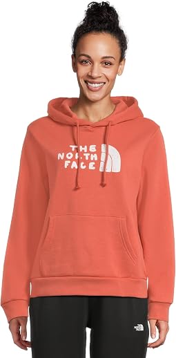 The North Face Evolution Sketch Logo Half Dome Hoodie Женский