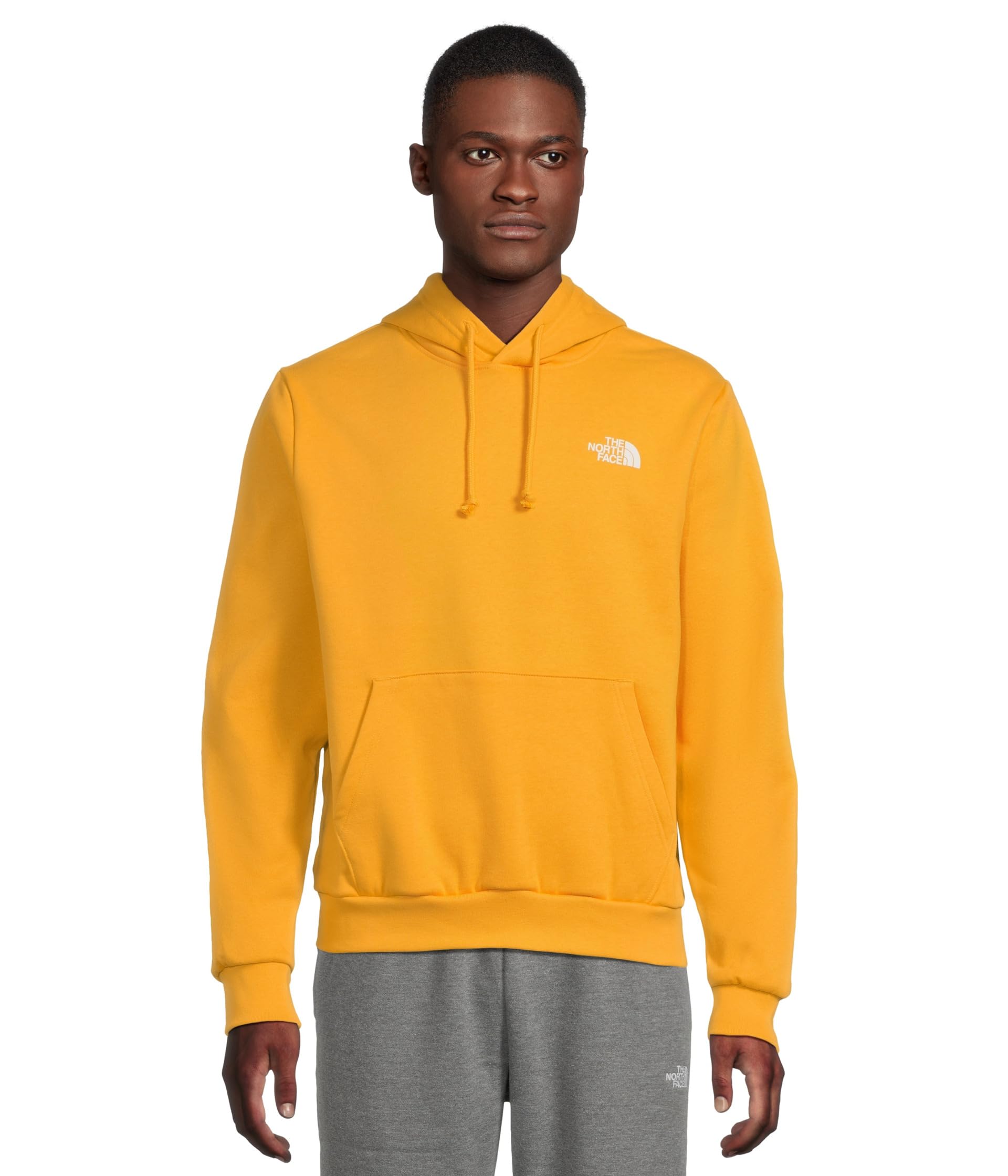 The North Face худи Evolution Box NSE Regular
