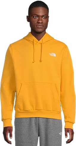 The North Face худи Evolution Box NSE Regular