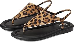 Leopard Print